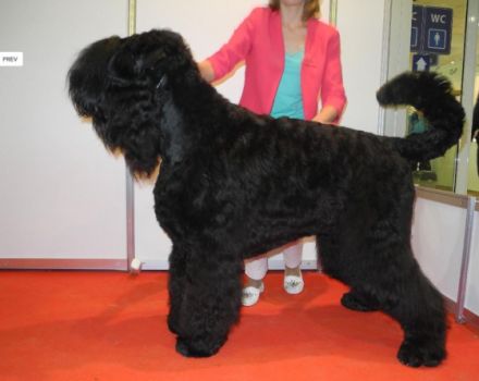 Herzlich willkommen! Mein Name ist Malgorzata