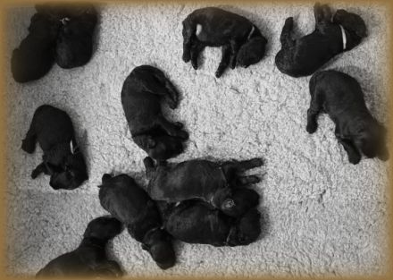 Herzlich willkommen! Mein Name ist Malgorzata