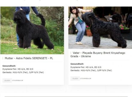 Herzlich willkommen! Mein Name ist Malgorzata