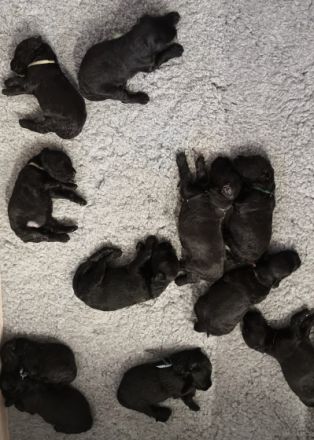 Herzlich willkommen! Mein Name ist Malgorzata