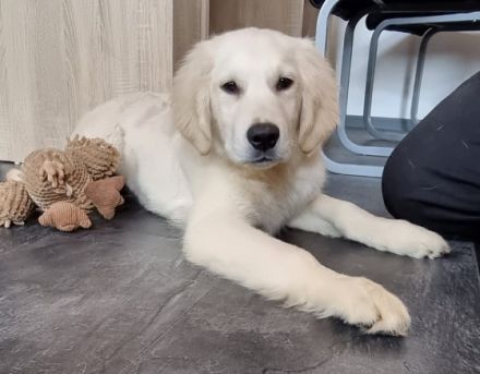 Hallo, unser kleiner Sonnenschein ist nun abgabebereit.