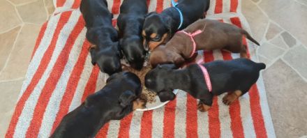 Wir sind am 25.2.2022 geboren und würden uns freuen