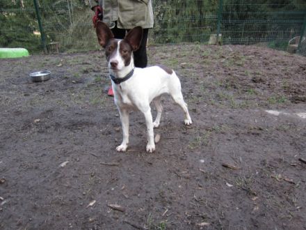 Hallo darf ich mich kurz vorstellen? Mein Name ist