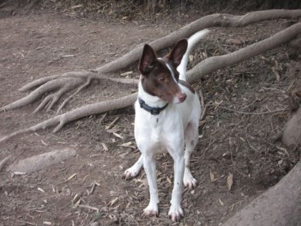 Hallo darf ich mich kurz vorstellen? Mein Name ist