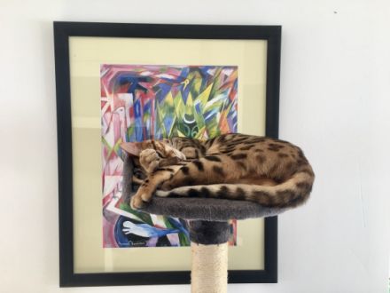 Benji und Lilo, Verkaufen unsere beiden lieben Jungs