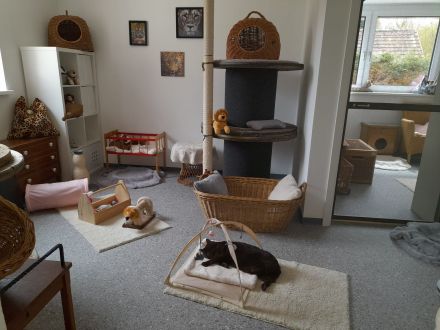 Katzenpensioneisenlauer