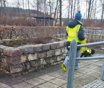 Mantrailing Freaks Frankenpfalz