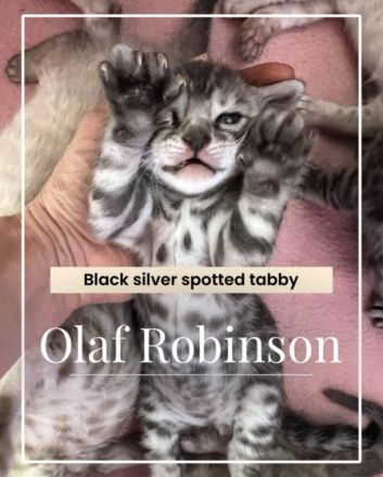 Auf der Suche nach einem liebevollen Platz ist nun