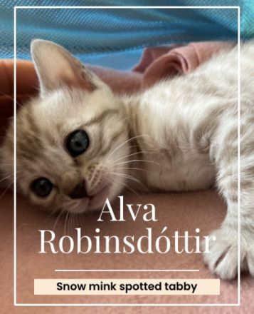 Auf der Suche nach einem liebevollen Platz ist nun