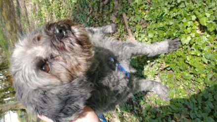 Zilli lebt bei uns auf Pflege und ist eine freundliche,