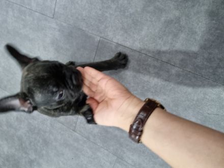 Endlich ist es soweit wir suchen nach einem neuen