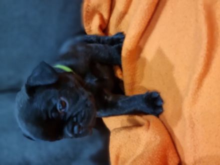 Endlich ist es soweit wir suchen nach einem neuen