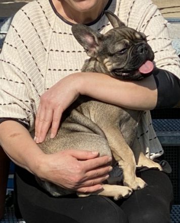 Hallo, Wir suchen eine neue Familie für unseren kleinen