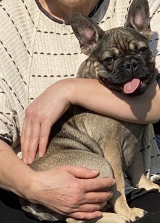 Hallo, Wir suchen eine neue Familie für unseren kleinen