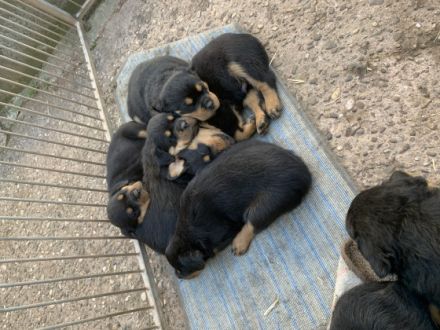 Reservierung nur gegen eine Anzahlung von 50% Bei