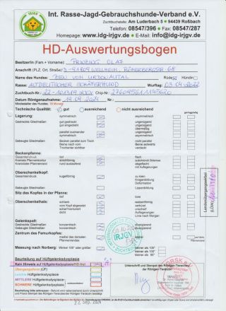 Deckrüde Ben vom Urdonautal