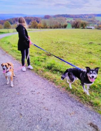 Luna, 3 Jahre alt, nicht sterilisiert, entwurmt,