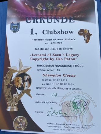 Letsatsi of Zazu´s Legacy © by Eko Patou