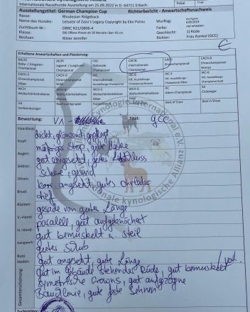 Letsatsi of Zazu´s Legacy © by Eko Patou