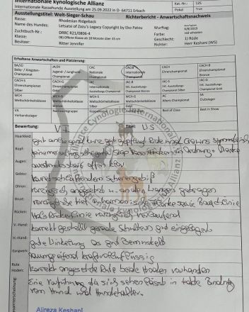 Letsatsi of Zazu´s Legacy © by Eko Patou