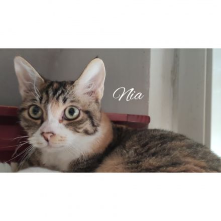 Wir sind Olivia & Nia, German Rexe und sind am 09.03