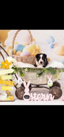 Update. Unsere Geschwister ziehen in 4 Wochen aus. Nur