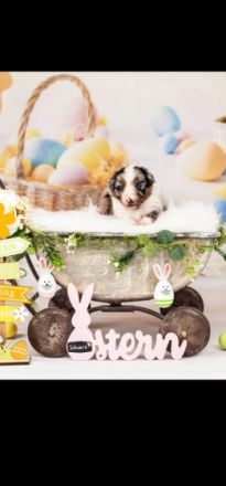 Update. Unsere Geschwister ziehen in 4 Wochen aus. Nur