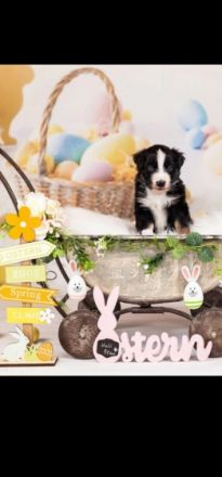 Update. Unsere Geschwister ziehen in 4 Wochen aus. Nur