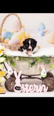 Update. Unsere Geschwister ziehen in 4 Wochen aus. Nur