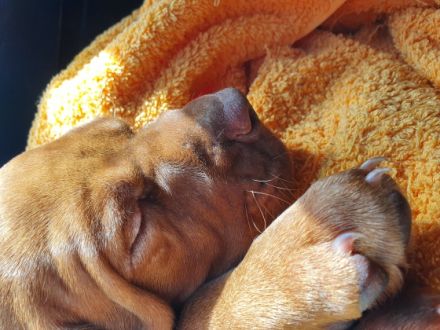 Wir müssen unseren neuen kleinen Mitbewohner leider