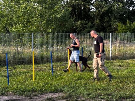 Pro Canis - Leon Weisbecker