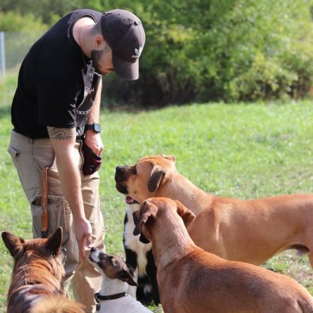 Pro Canis - Leon Weisbecker