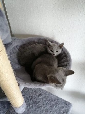 Jünge und Mädchen wurden am 01.01.22 gegen 22:00