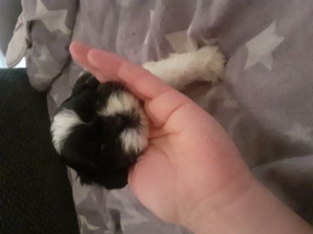 Nun ist es soweit das die kleinen absofort nach