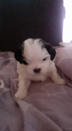 Nun ist es soweit das die kleinen absofort nach