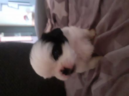 Nun ist es soweit das die kleinen absofort nach