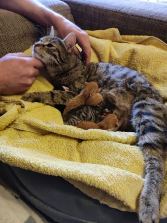 Am 9.4 .22 erblickten die kleinen das Licht der Welt