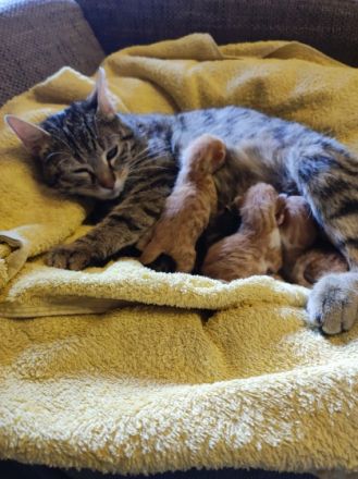 Am 9.4 .22 erblickten die kleinen das Licht der Welt