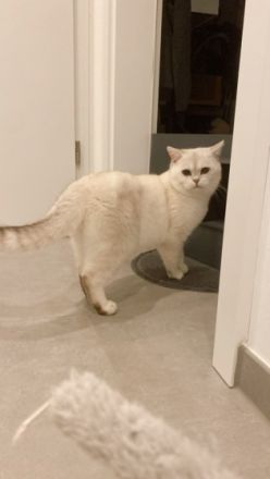 Bkh Kater, Schweren Herzens müssen wir uns von unserem