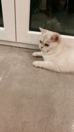 Bkh Kater, Schweren Herzens müssen wir uns von unserem