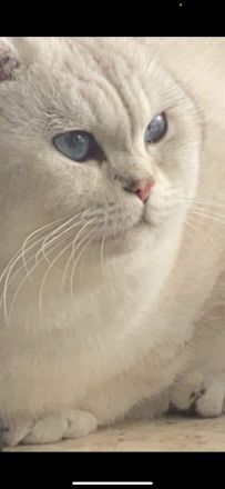 Bkh Kater, Schweren Herzens müssen wir uns von unserem