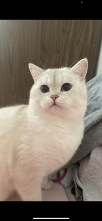 Bkh Kater, Schweren Herzens müssen wir uns von unserem