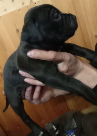 Unsere Prinzessin hat Nachwuchs bekommen :) Wir 5