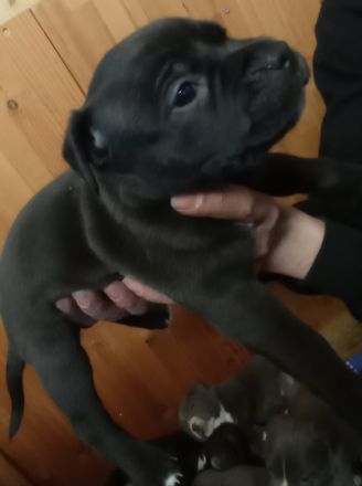 Unsere Prinzessin hat Nachwuchs bekommen :) Wir 5