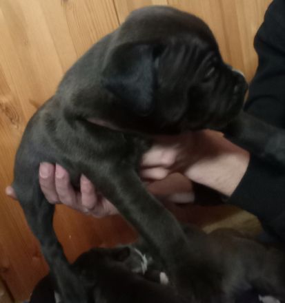 Unsere Prinzessin hat Nachwuchs bekommen :) Wir 5