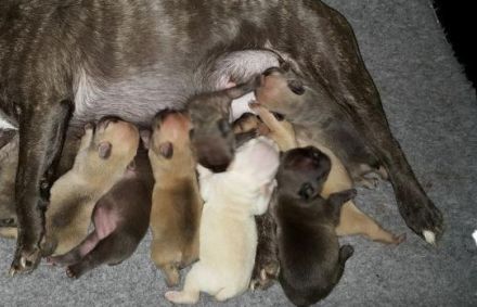 Unser Nachwuchs darf ab dem 22.04.2022 in ihr neues