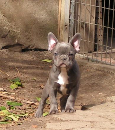 unsere kleinen Racker leben mit ihren Eltern bei uns im
