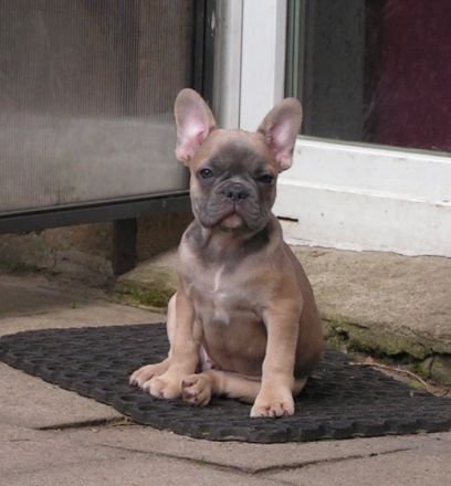 unsere kleinen Racker leben mit ihren Eltern bei uns im