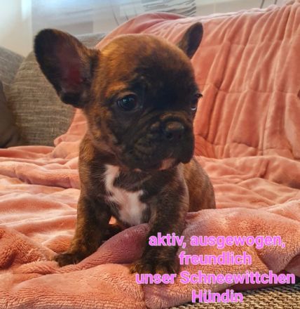 Unser Nachwuchs darf ab dem 22.04.2022 in ihr neues