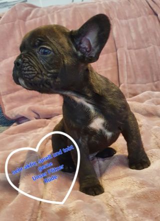 Unser Nachwuchs darf ab dem 22.04.2022 in ihr neues